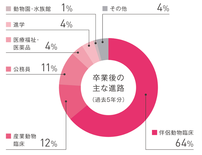 麻布大学の卒業後の主な進路（獣医学部）