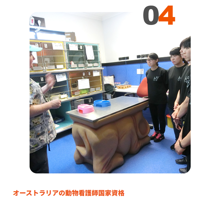 倉敷芸術科学大学 動物看護師国家資格